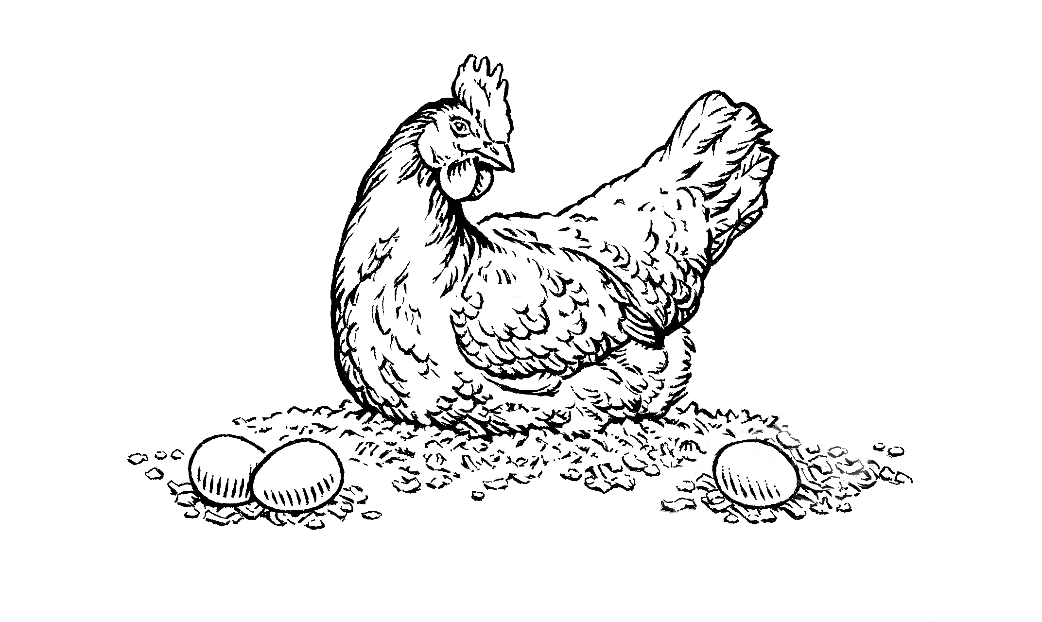 White chicken & 3 eggs